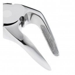 11-31 Щипцы для удаления зубов нижние, корневые