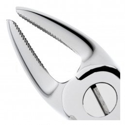 11-39 Щипцы для удаления зубов детские верхние, моляры 