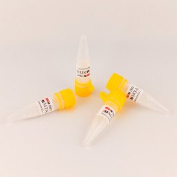 РутДент (20 доз по 0,3 г) пломбирование корневых каналов, SM DMT (SM MTA)