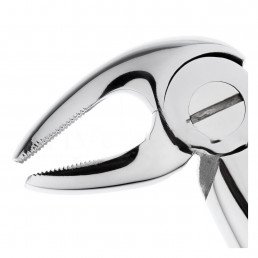 11-13 Щипцы для удаления зубов нижние, премоляры 