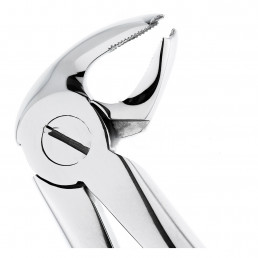 12-23 Щипцы для удаления зубов нижние, моляры правые