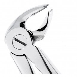 12-23 Щипцы для удаления зубов нижние, моляры правые