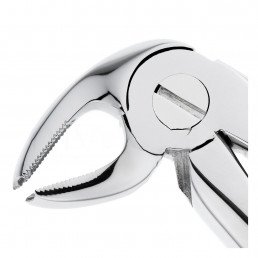 11-22 Щипцы для удаления зубов нижние, моляры