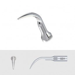 Насадка на скалер DTE/NSK - GD1