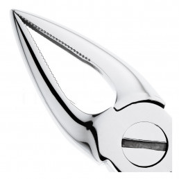 12-29N Щипцы для удаления зубов верхние, корневые