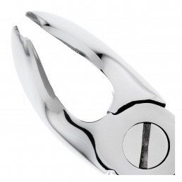 11-8 Щипцы для удаления зубов нижние, премоляры