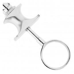 17-3 Шприц карпульный