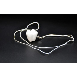 Контейнер для молочных зубов «Зубик» белый (10 шт.)