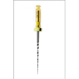 Ретрит файл 22мм .07 №20 (6 шт/уп) Goffshtein Dental Development (REATREAT-FILE)