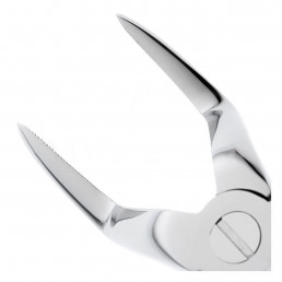 11-51 Щипцы для удаления зубов верхние, корневые байонеты