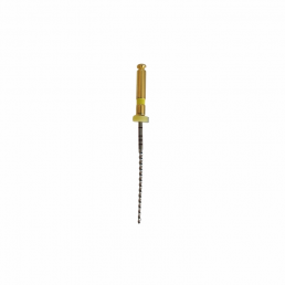 Apex-max 25мм AX50 .02 №50 (6 шт/уп) Goffshtein Dental Development