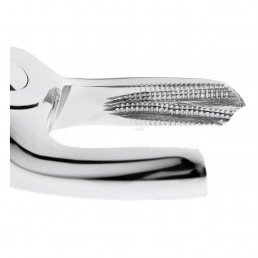 12-17 Щипцы для удаления зубов верхние, моляры правые