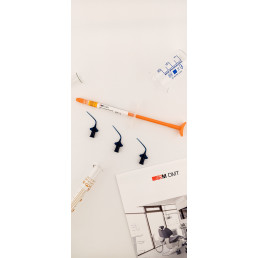 СМ Эндо (1 шпр*2 г+3 насадки) паста на основе гидроокиси кальция, SM DMT (SM Endo) (стар. Кальцетин Эндо)