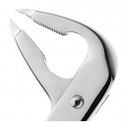 12-336  Щипцы для удаления зубов нижние, премоляры