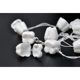 Контейнер для молочных зубов «Зубик» белый (10 шт.)