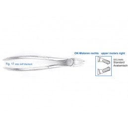 12-17 Щипцы для удаления зубов верхние, моляры правые