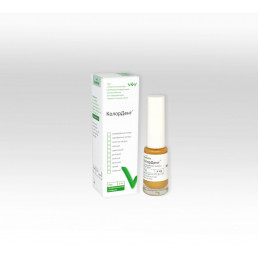 Колордент Желтый (6 мл) Лак реминерализирующий декоративный, ВладМиВа 