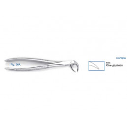 11-86A  Щипцы для удаления зубов нижние, моляры, фуркационные