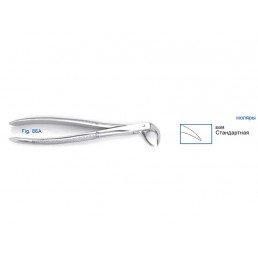 11-86A  Щипцы для удаления зубов нижние, моляры, фуркационные