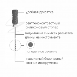 Н-файл 21 мм №10 (6 шт/уп) Goffshtein Dental Development