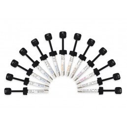 ЭсКом 250 A1 (1шпр х 4гр) Пломбировочный материал. SpiDent (EsCom 250)