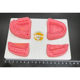 Учебный Стоматологический набор для наложения и снятия швов с инструментами.