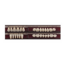 Спофадент Плюс (A2) 59-0/8-77N (28шт) - Трехслойные акриловые зубы SPOFA