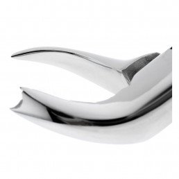 12-89 Щипцы для удаления зубов верхние, моляры правые