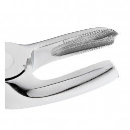 11-17 Щипцы для удаления зубов верхние, моляры правые