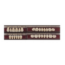 Спофадент Плюс (C3) 1/22-0/0-1/72 (28шт) - Трехслойные акриловые зубы SPOFA