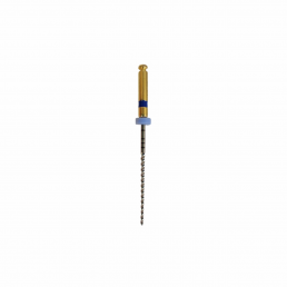 Apex-max 21мм AX30 .02 №30 (6 шт/уп) Goffshtein Dental Development