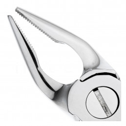 11-7N Щипцы для удаления зубов верхние, премоляры с глубоким захватом