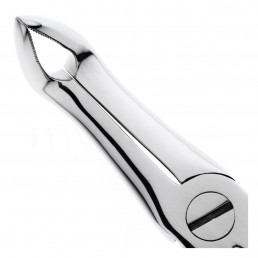 12-45 Щипцы для удаления зубов нижние корневые