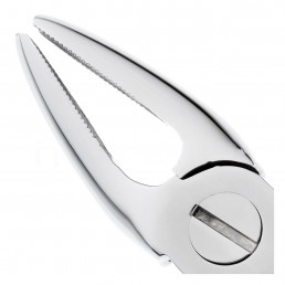 11-2 Щипцы для удаления зубов верхние, резцы/клыки Германия