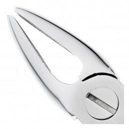 11-2 Щипцы для удаления зубов верхние, резцы/клыки Германия