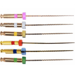 ENDOVIEW файл 31мм Ассорти (6 шт/уп) Goffshtein Dental Development (Файлы от Ивана Вьючнова) 