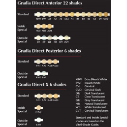Градия Директ Антериор A1 (шприц 4г) GC 