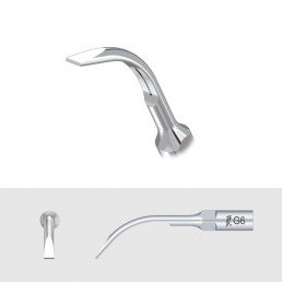 Насадка на скалер Woodpecker/EMS - G6