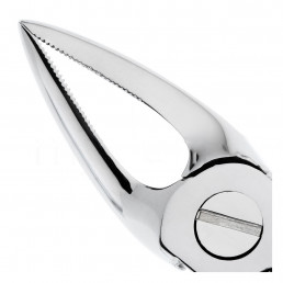 11-30 Щипцы для удаления зубов верхние, корневые