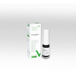 Колордент Черный (6 мл) Лак реминерализирующий декоративный, ВладМиВа 