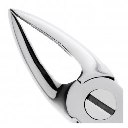 12-30 Щипцы для удаления зубов верхние, корневые