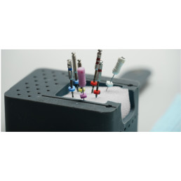 Эндодонтический органайзер Ergonaizer, Goffshtein Dental Development