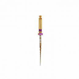 Голд-Тейпер файл 25мм S1 (6 шт/уп) Goffshtein Dental Development (GOLD-TAPER)