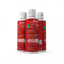 Шербет (500мл) Клубничный, Реминерализирующий АПФ Гель, STAINO (Sherbet APF)