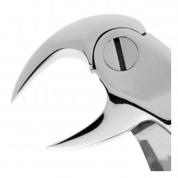 12-186R Щипцы для удаления зубов нижние, моляры правые фуркационные