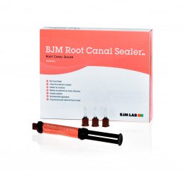 Рут канал силер (1 двойной шприц 5мл.+ аксессуары) Силер антибактериальный двухкомпонентный, BJM (Root Canal Sealer)