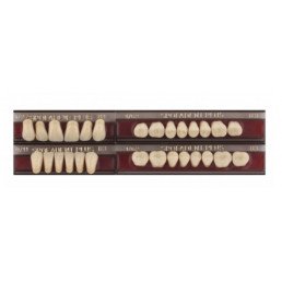 Спофадент Плюс (B3) 1/27-0/11-1/62 (28шт) - Трехслойные акриловые зубы SPOFA