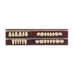 Спофадент Плюс (B3) 1/48-0/6-1/72 (28шт) - Трехслойные акриловые зубы SPOFA