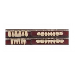 Спофадент Плюс (B3) 1/17-0/6-77N (28шт) - Трехслойные акриловые зубы SPOFA