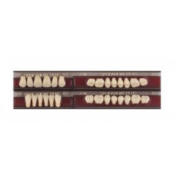 Спофадент Плюс (B3) 59-0/8-77N (28шт) - Трехслойные акриловые зубы SPOFA